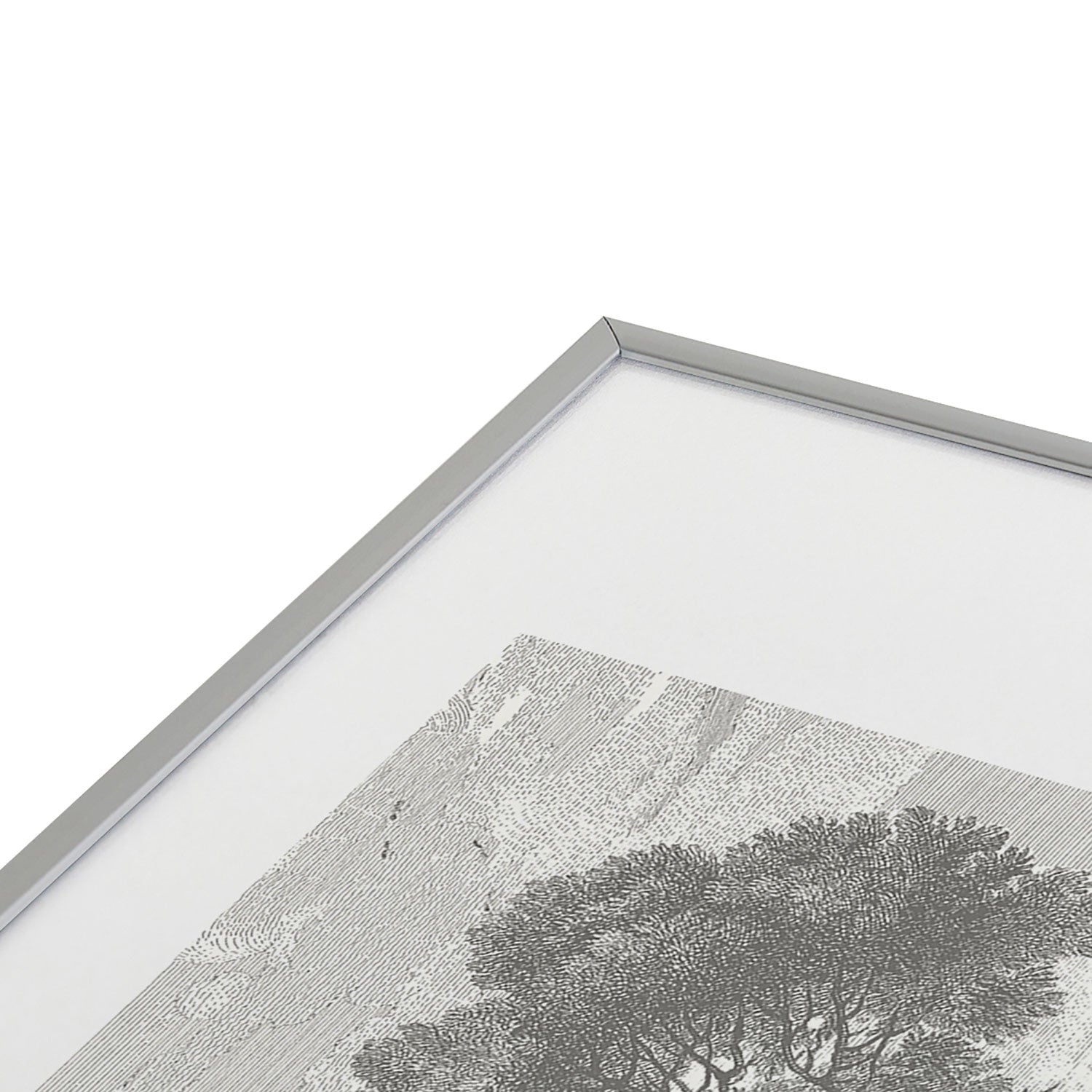 HMCraig Beaux Arbres Beautiful Trees Metal Framed Art Print