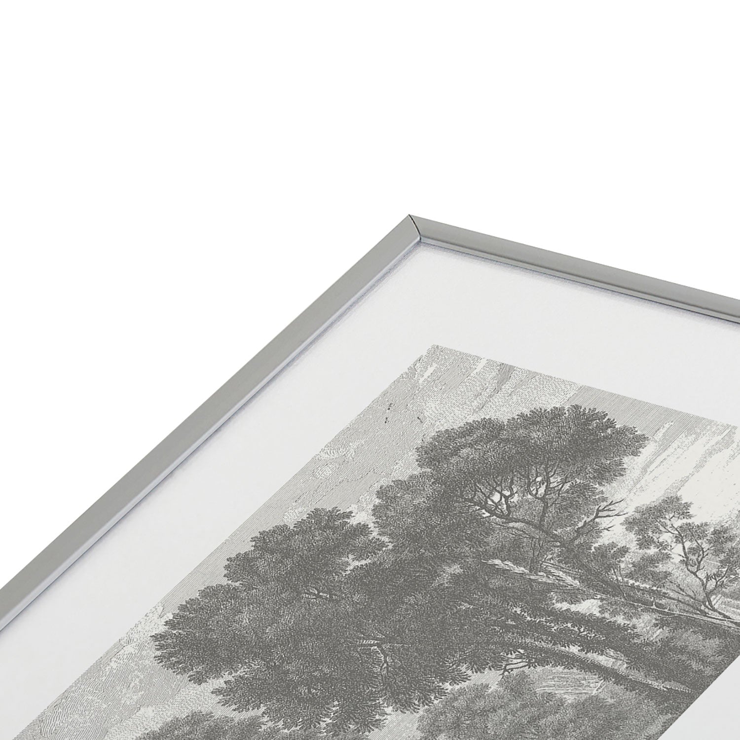 HMCraig Beaux Arbres Beautiful Trees Metal Framed Art Print