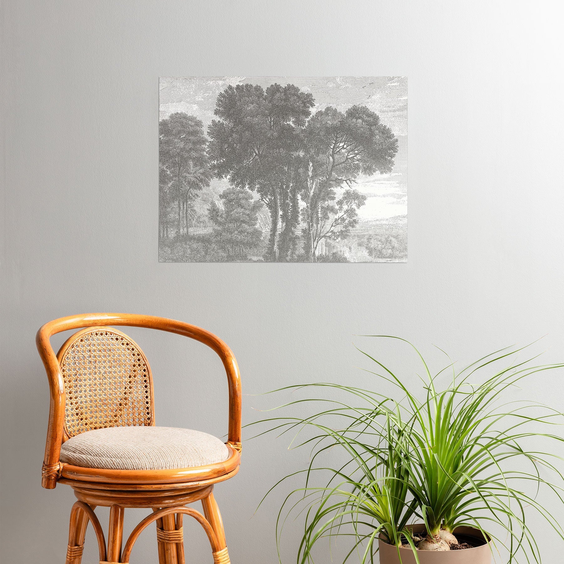 HMCraig Beaux Arbres Beautiful Trees Poster