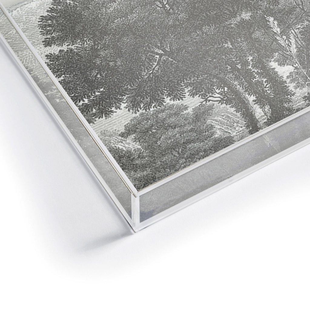 HMCraig Beaux Arbres Beautiful Trees Acrylic Tray