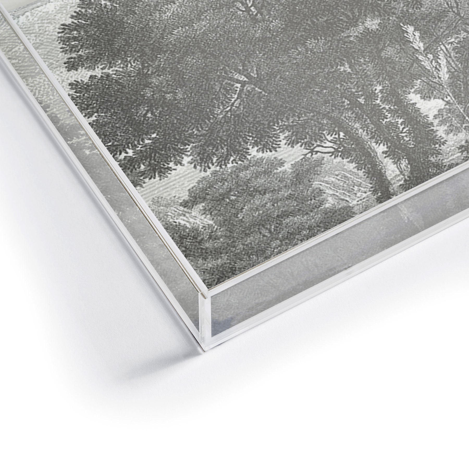 HMCraig Beaux Arbres Beautiful Trees Acrylic Tray