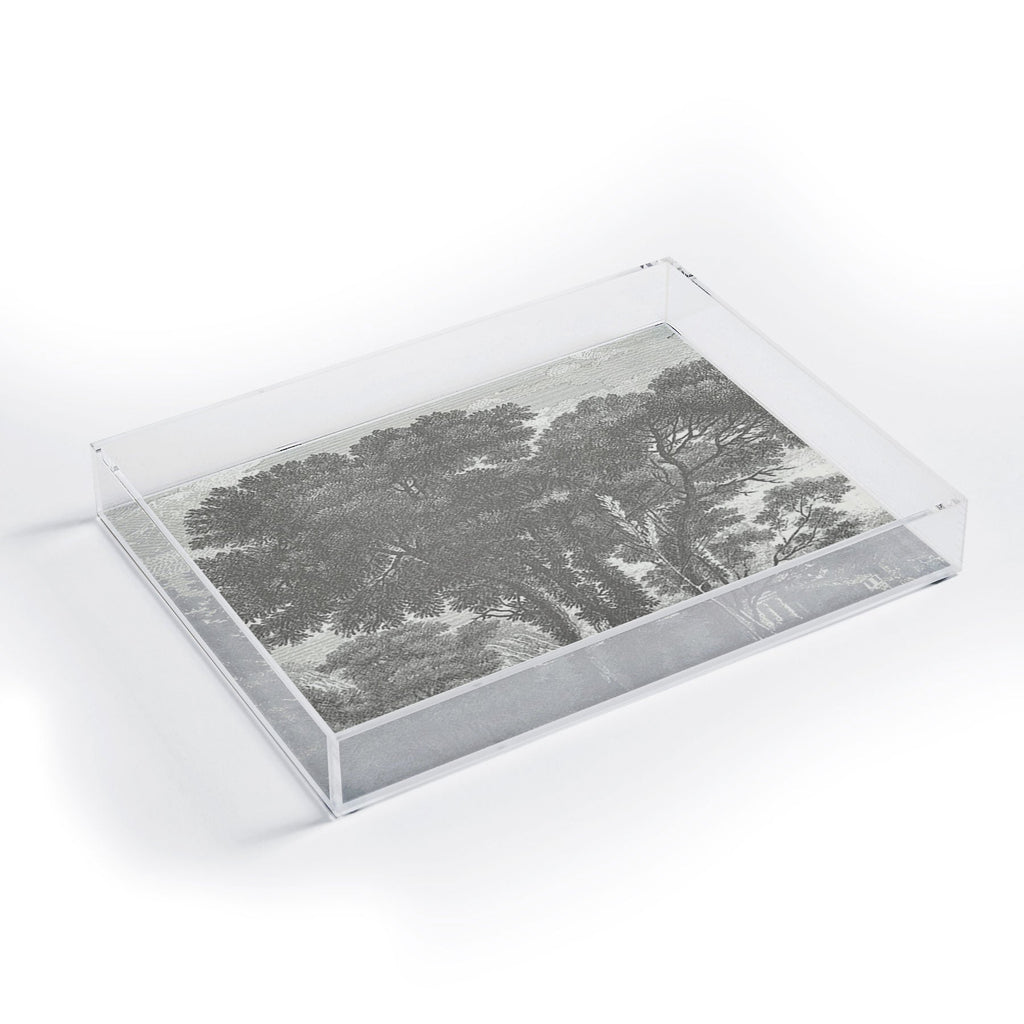 HMCraig Beaux Arbres Beautiful Trees Acrylic Tray