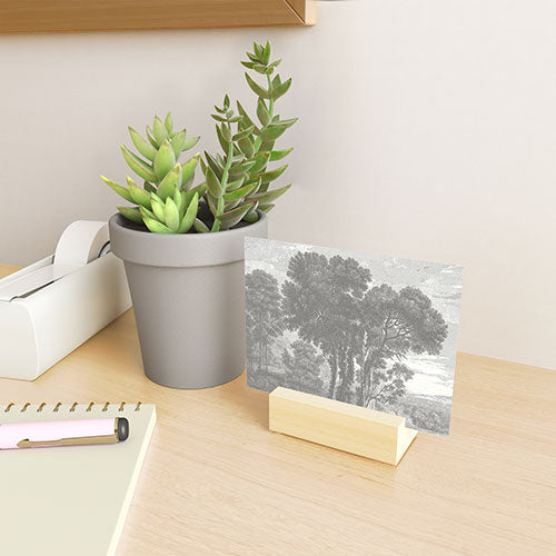 HMCraig Beaux Arbres Beautiful Trees Mini Art Print