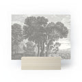 HMCraig Beaux Arbres Beautiful Trees Mini Art Print