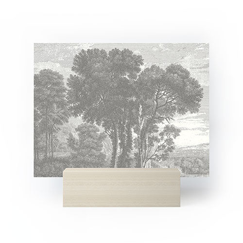 HMCraig Beaux Arbres Beautiful Trees Mini Art Print