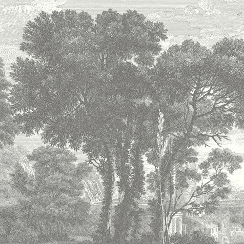 HMCraig Beaux Arbres Beautiful Trees Shower Curtain