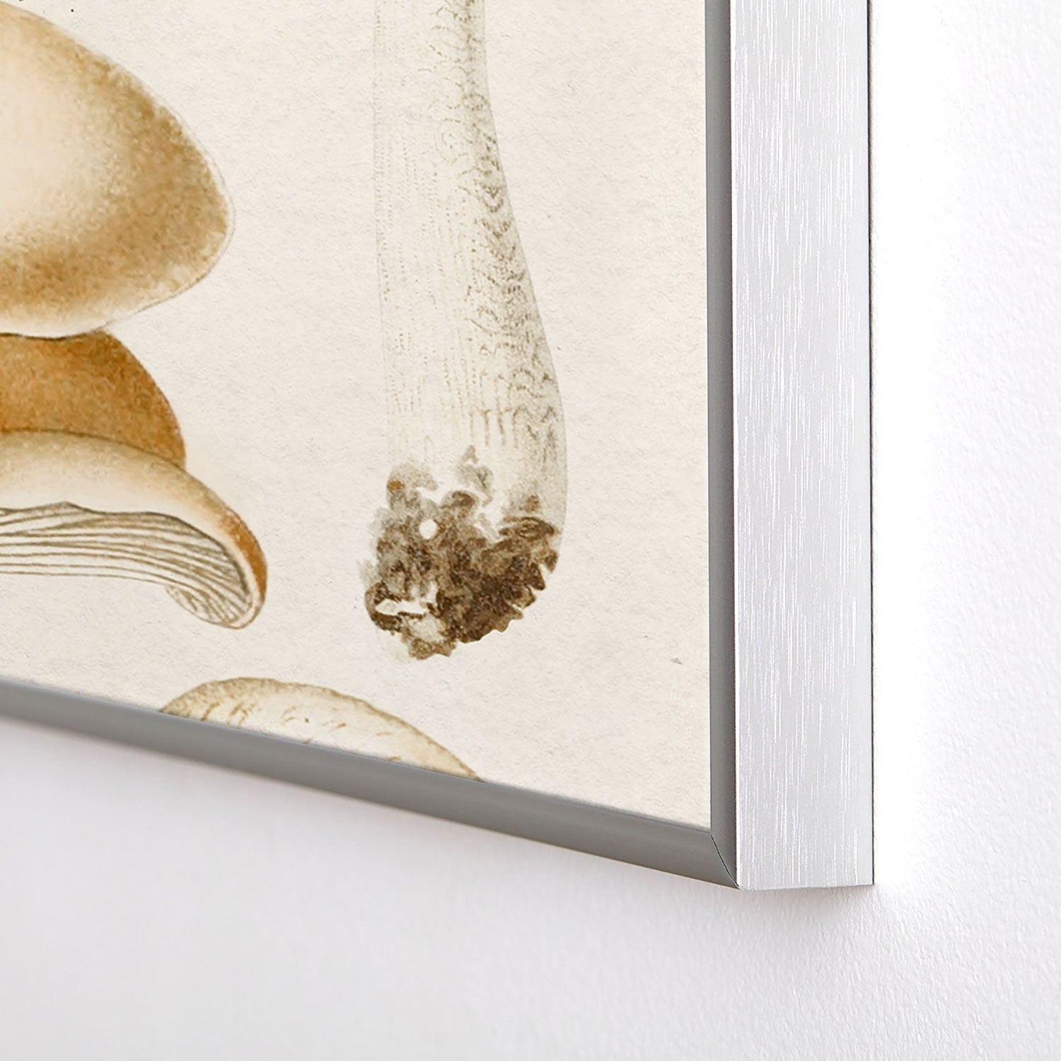 Gal Design Mushrooms Collection Square Metal Framed Art Print