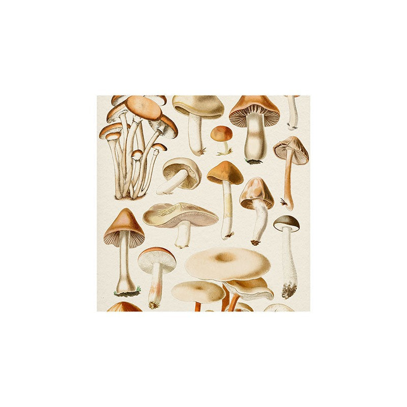 Gal Design Mushrooms Collection Art Print
