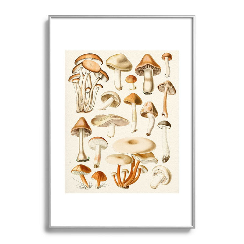 Gal Design Mushrooms Collection Metal Framed Art Print