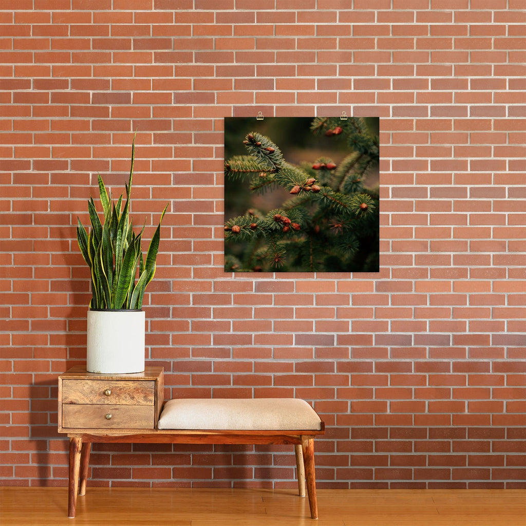 Hannah Kemp Spruce Tips Art Print