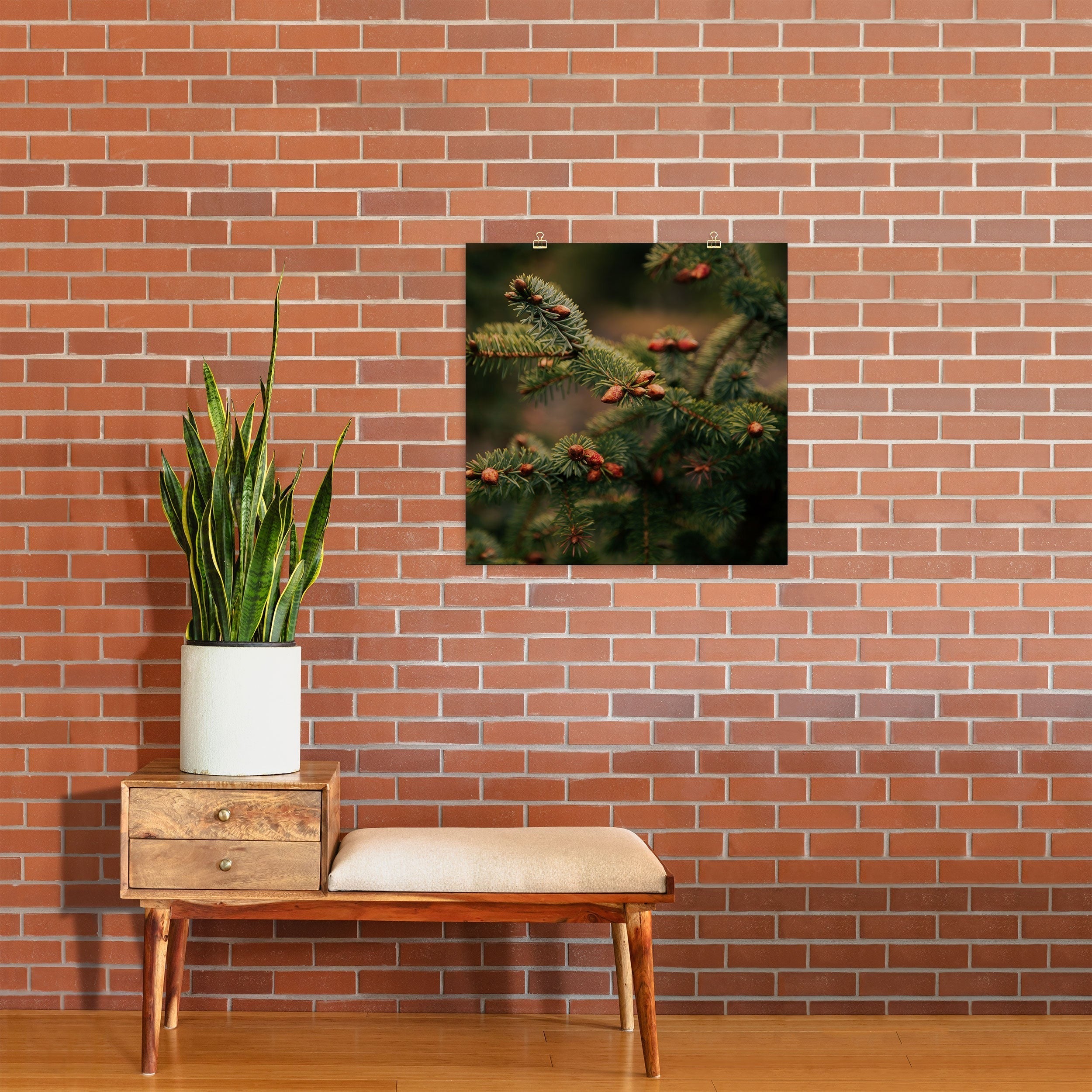 Hannah Kemp Spruce Tips Art Print