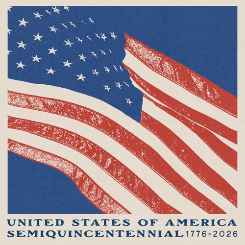 DENY Designs Stars n Stripes Semiquincentennial Shower Curtain