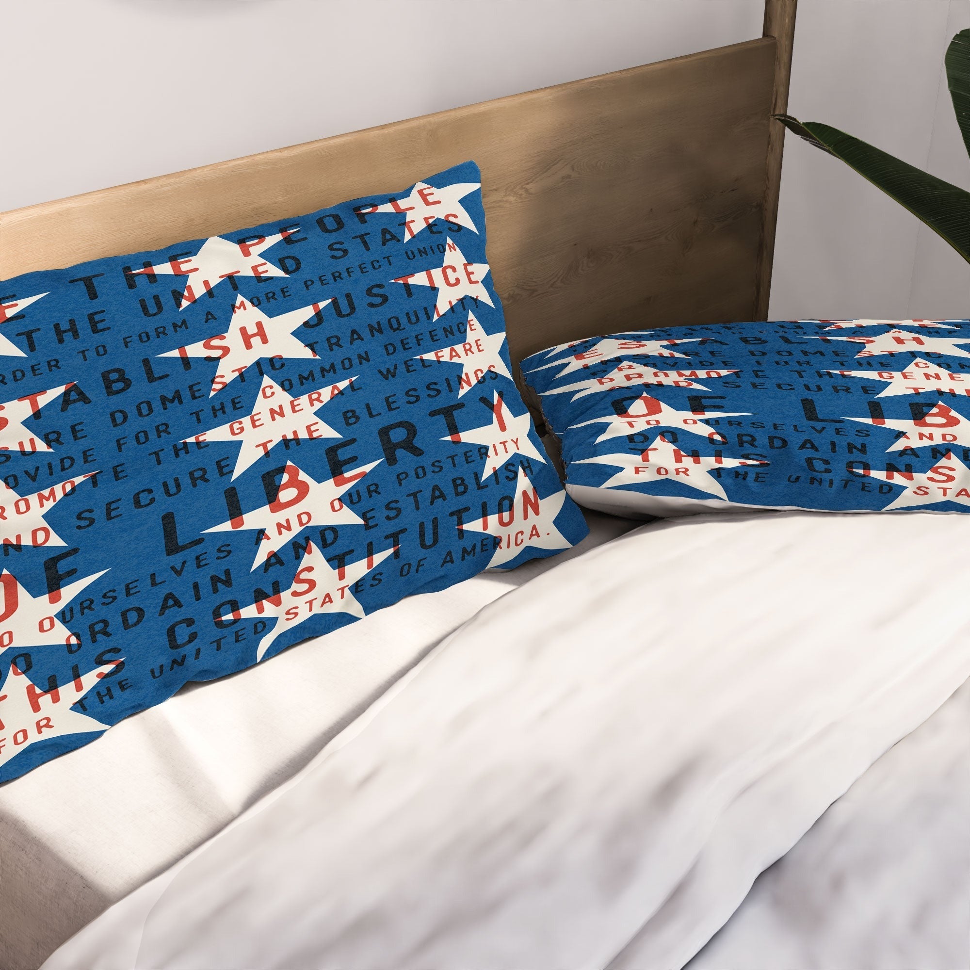 DENY Designs Starred Preamble Pillow Shams
