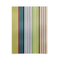 Marta Barragan Camarasa Colorful Stripe Delight Poster