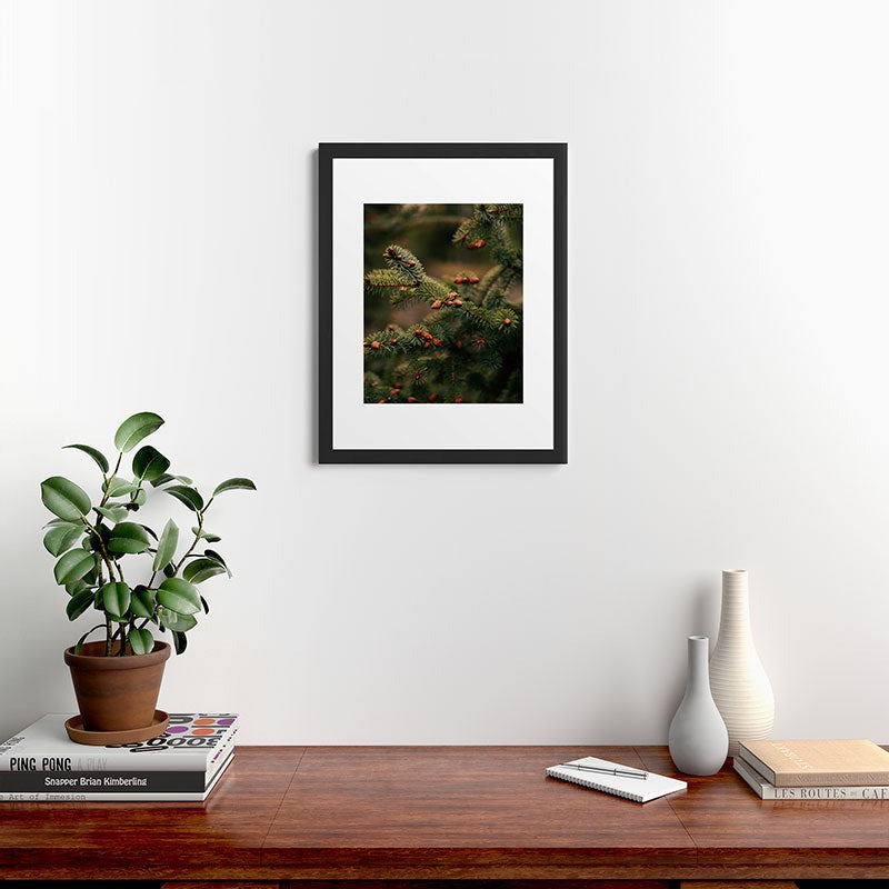 Hannah Kemp Spruce Tips Framed Art Print