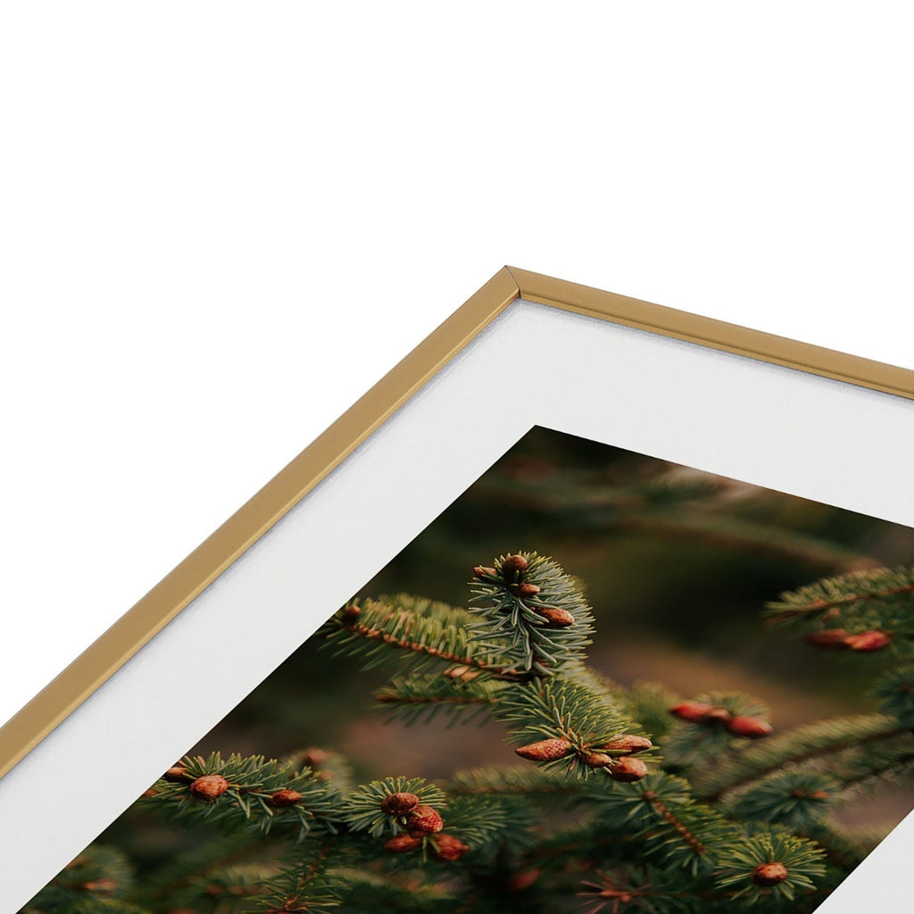 Hannah Kemp Spruce Tips Metal Framed Art Print