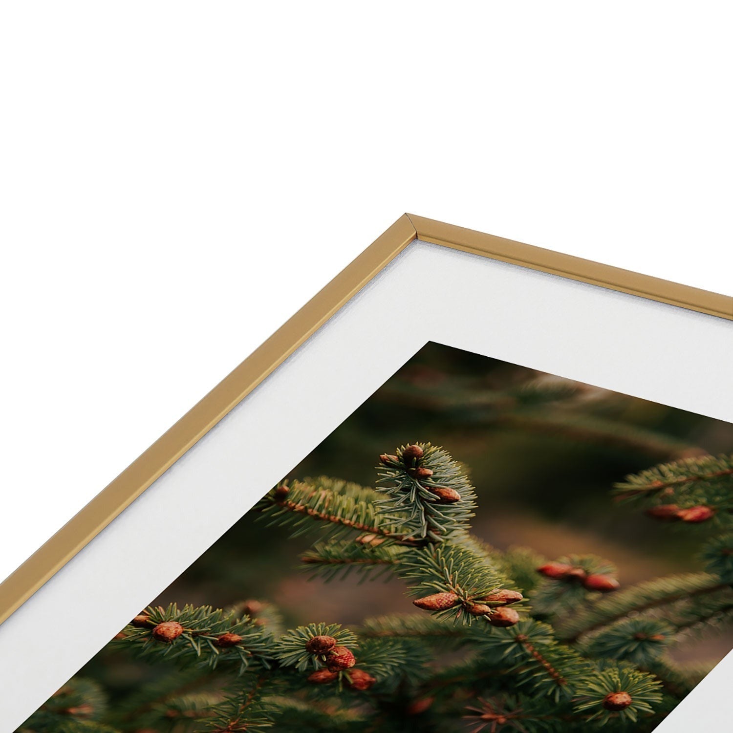Hannah Kemp Spruce Tips Metal Framed Art Print
