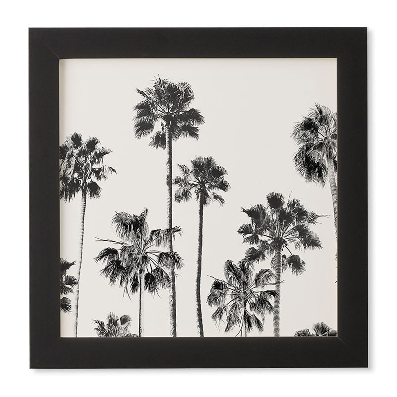 Gal Design Black And White Palms Framed Wall Art