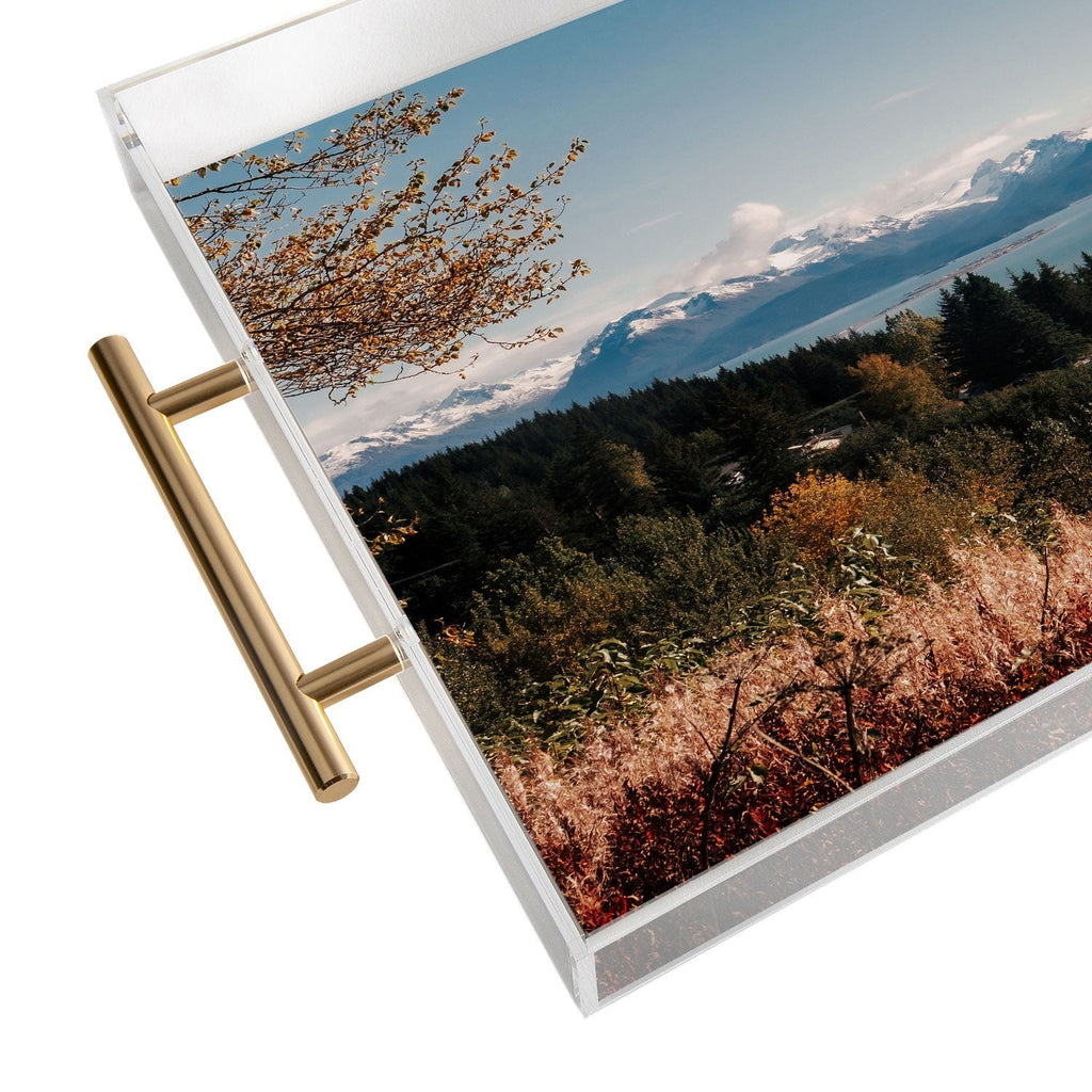Hannah Kemp Homer Acrylic Tray