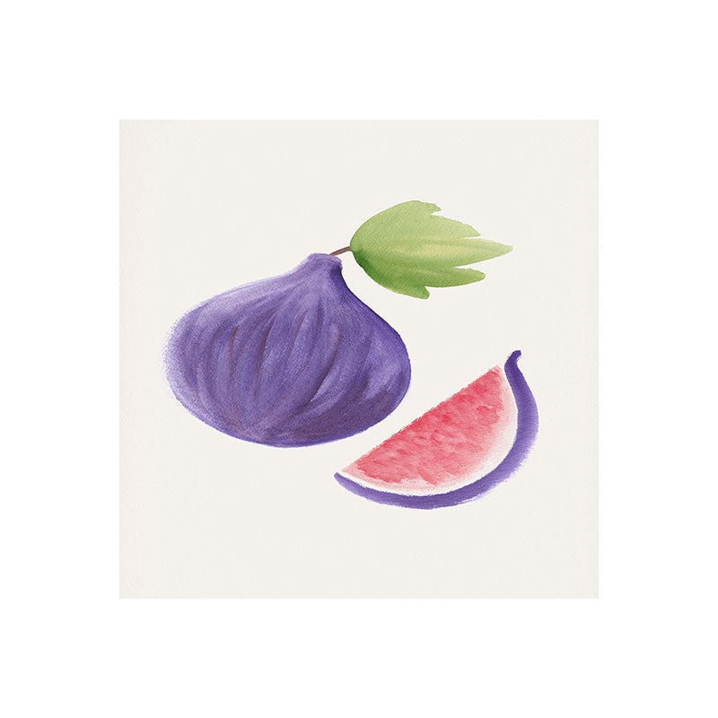 Intemporalis Fig Fruit Watercolor Painting Art Print