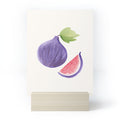 Intemporalis Fig Fruit Watercolor Painting Mini Art Print