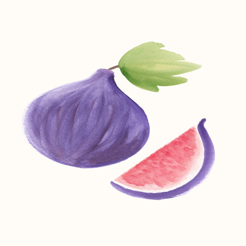 Intemporalis Fig Fruit Watercolor Painting Shower Curtain