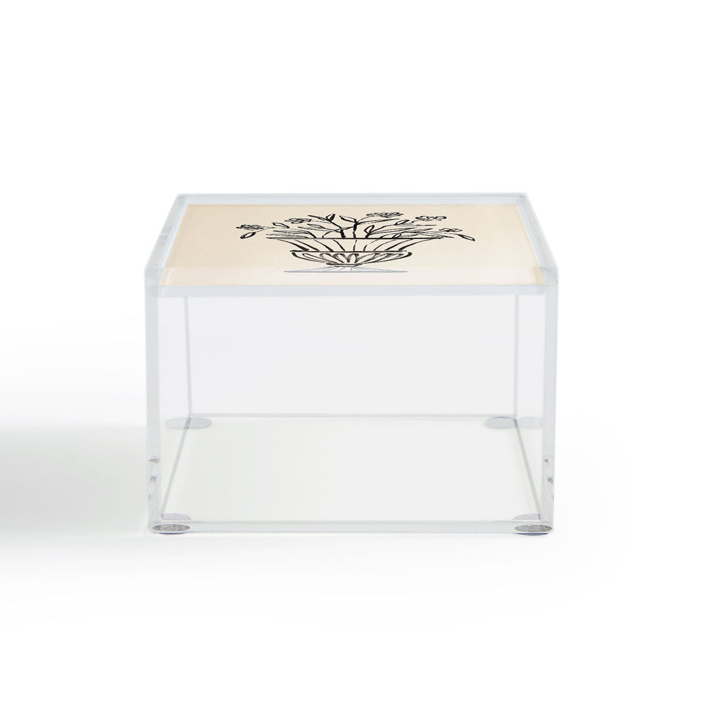 Intemporalis Garden Pot Antique Vase Flower Acrylic Box