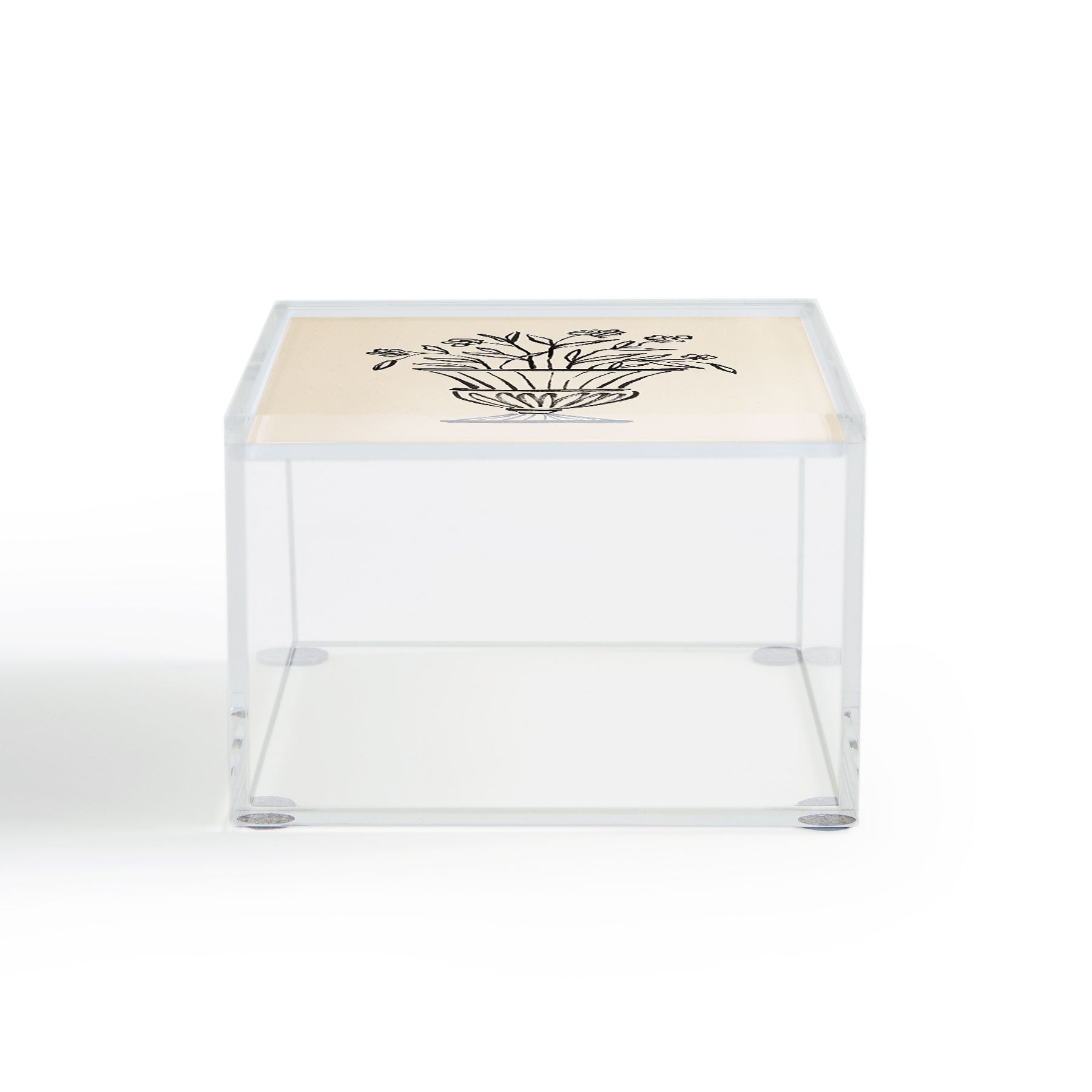 Intemporalis Garden Pot Antique Vase Flower Acrylic Box