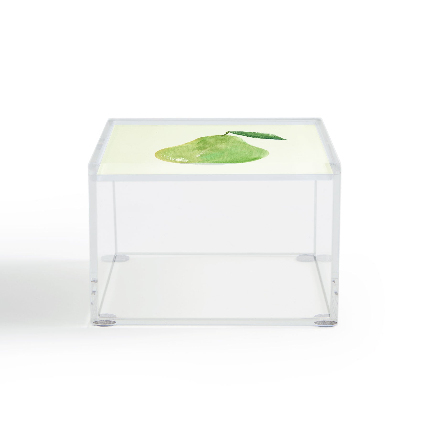 Intemporalis Pear Watercolor Illustration Acrylic Box
