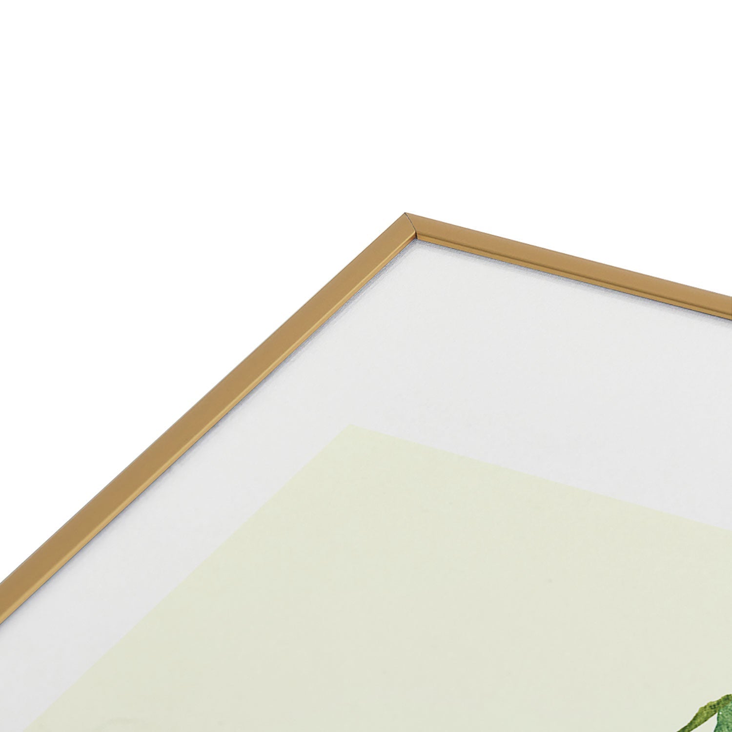 Intemporalis Pear Watercolor Illustration Metal Framed Art Print