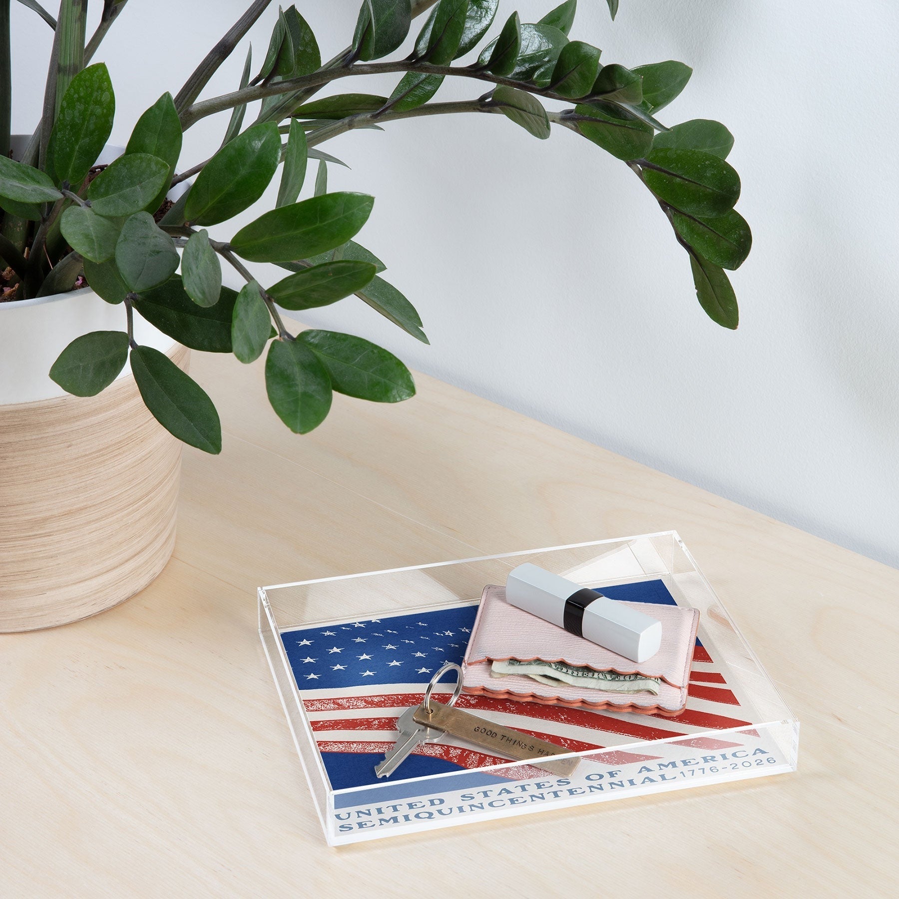 DENY Designs Stars n Stripes Semiquincentennial Acrylic Tray