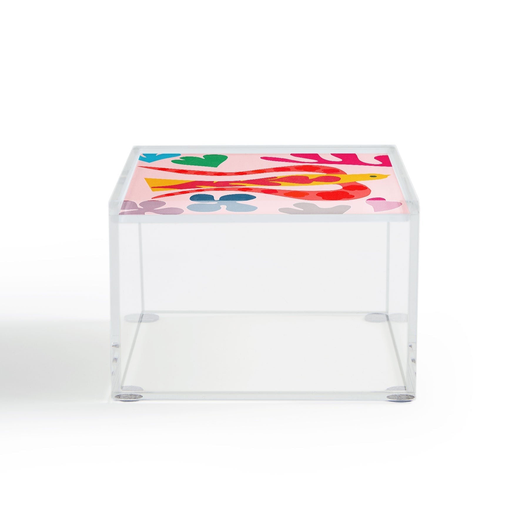 Garima Dhawan Cutouts 49 Acrylic Box