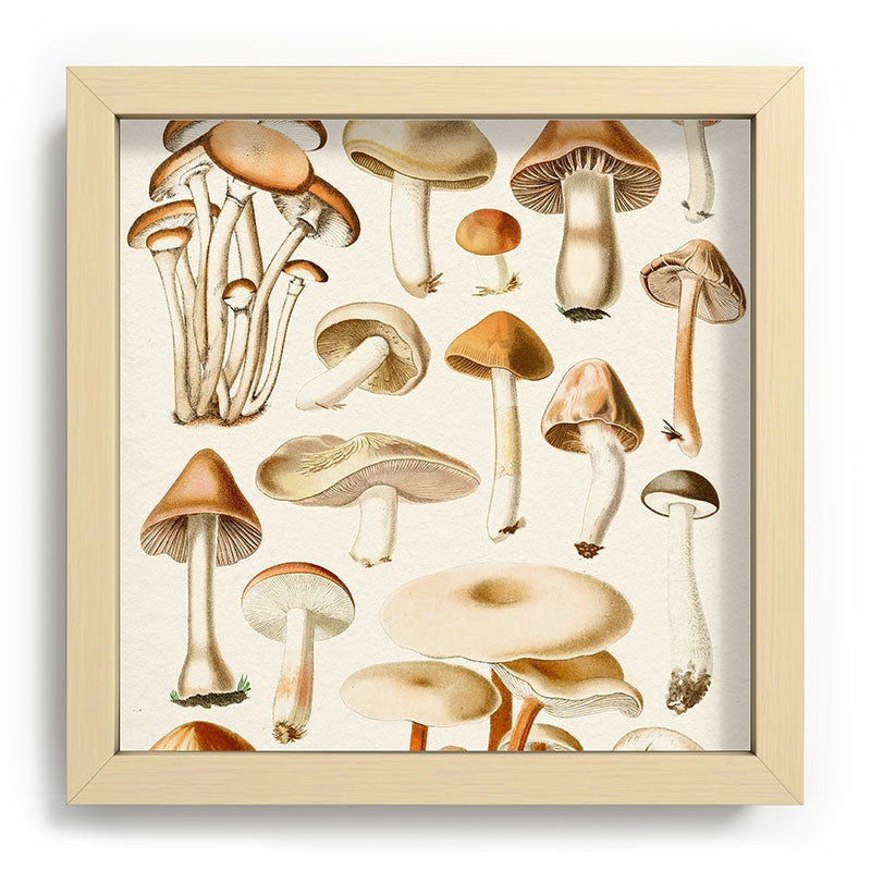 Gal Design Mushrooms Collection Recessed Framing Square