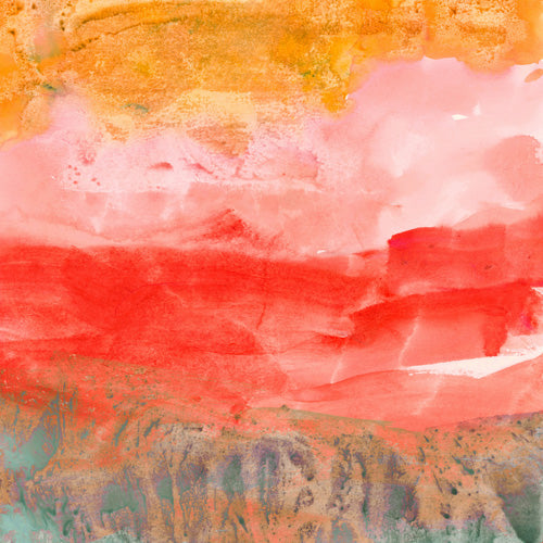 Iris Lehnhardt coral horizon Shower Curtain