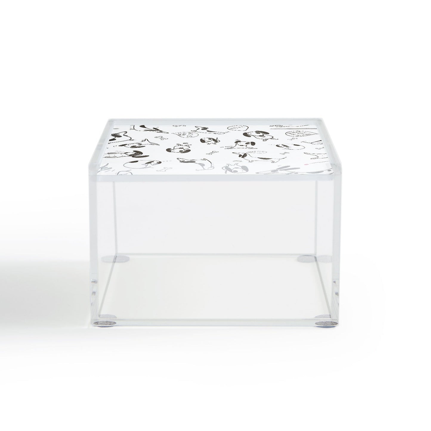 Isa Zapata Doxie Acrylic Box