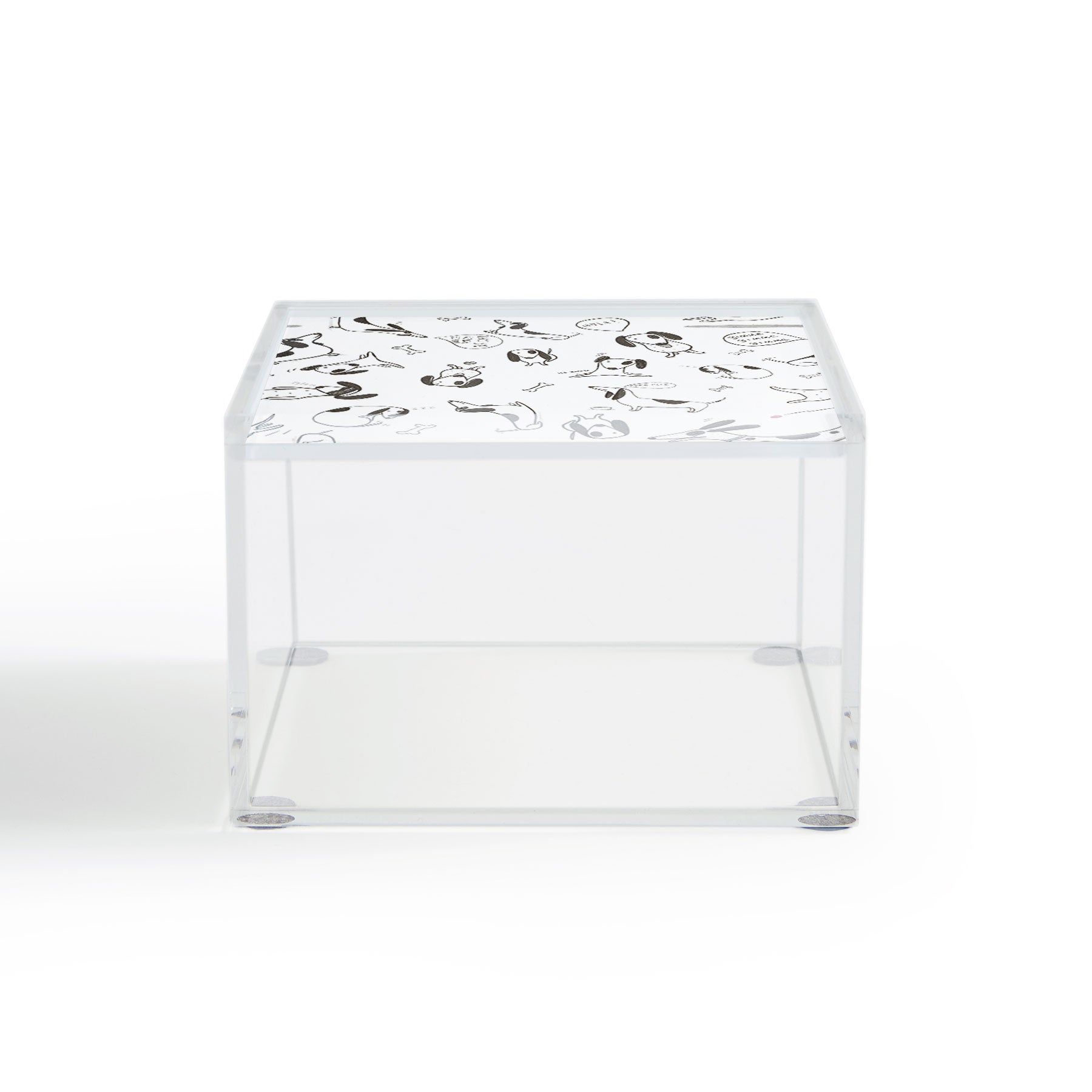 Isa Zapata Doxie Acrylic Box