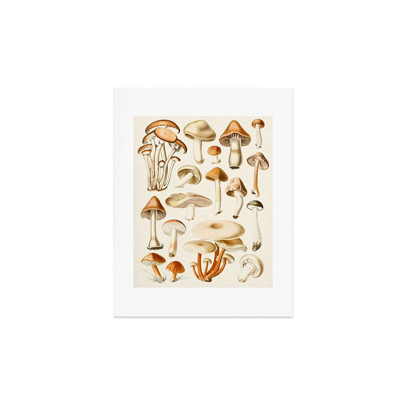 Gal Design Mushrooms Collection Art Print