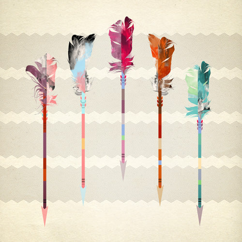 Iveta Abolina Feathered Arrows Shower Curtain