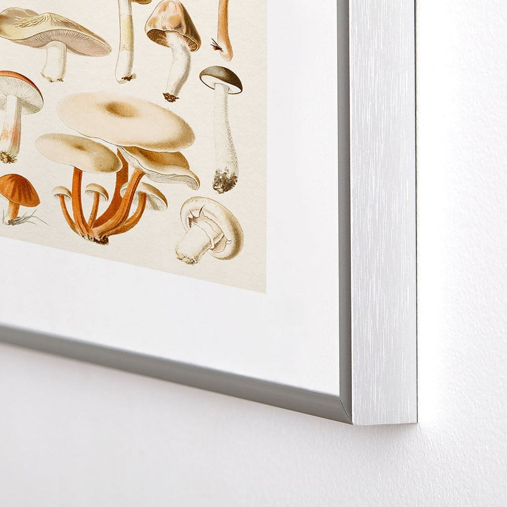 Gal Design Mushrooms Collection Metal Framed Art Print