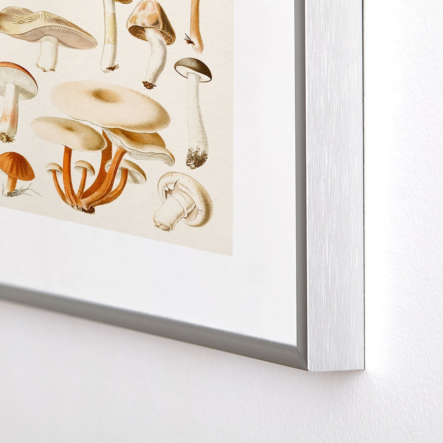 Gal Design Mushrooms Collection Metal Framed Art Print