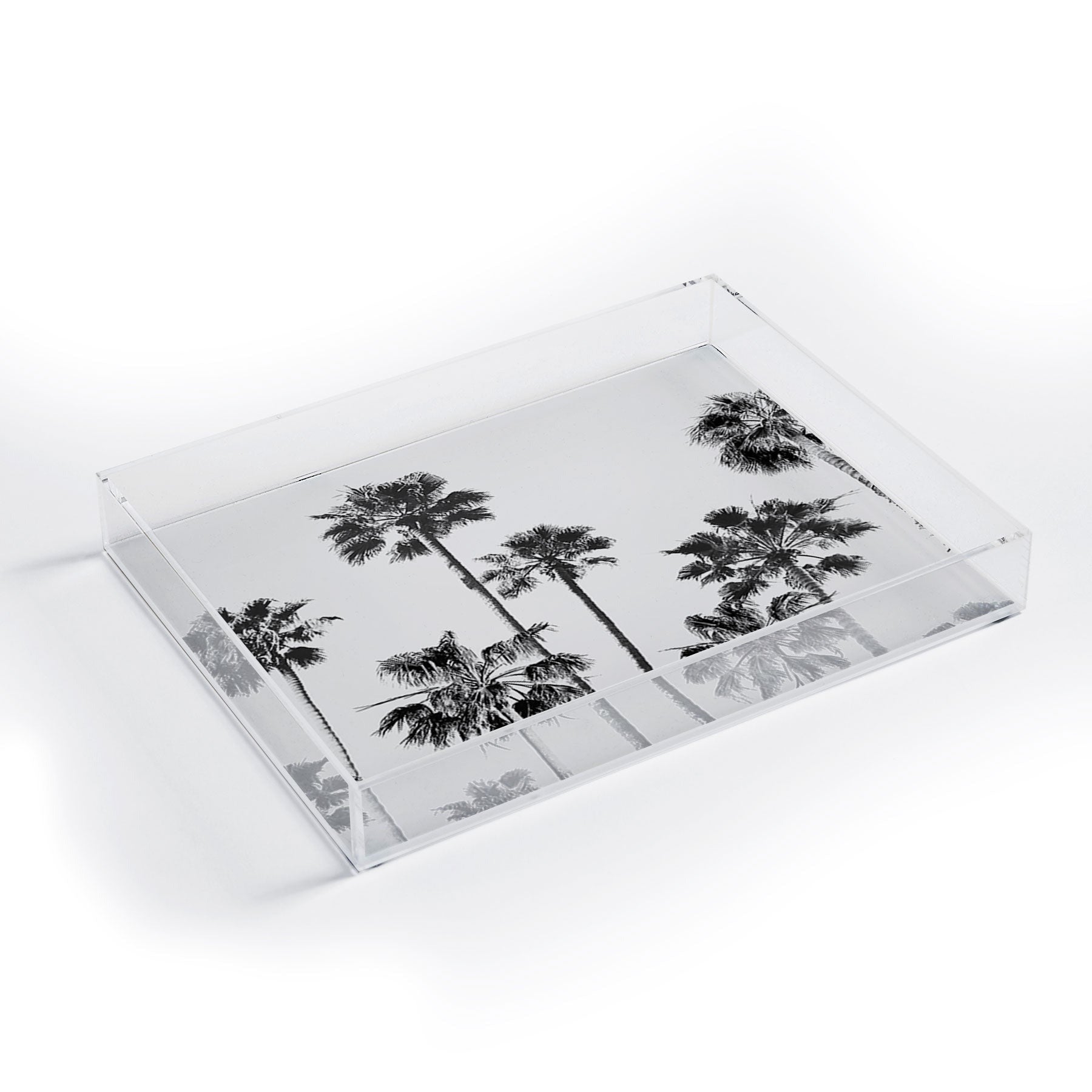 Gal Design Black And White Palms Acrylic Tray