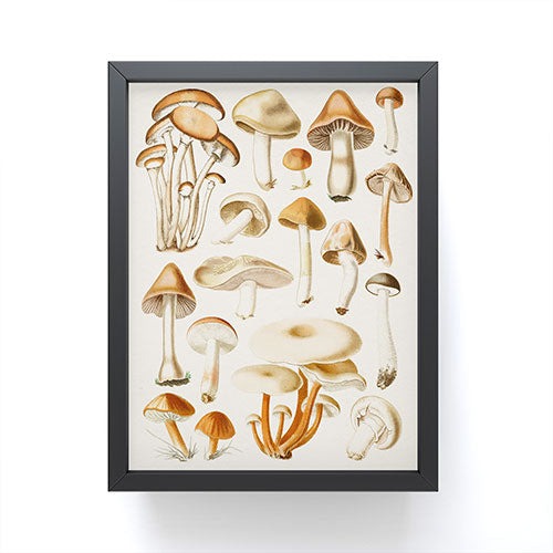 Gal Design Mushrooms Collection Framed Mini Art Print