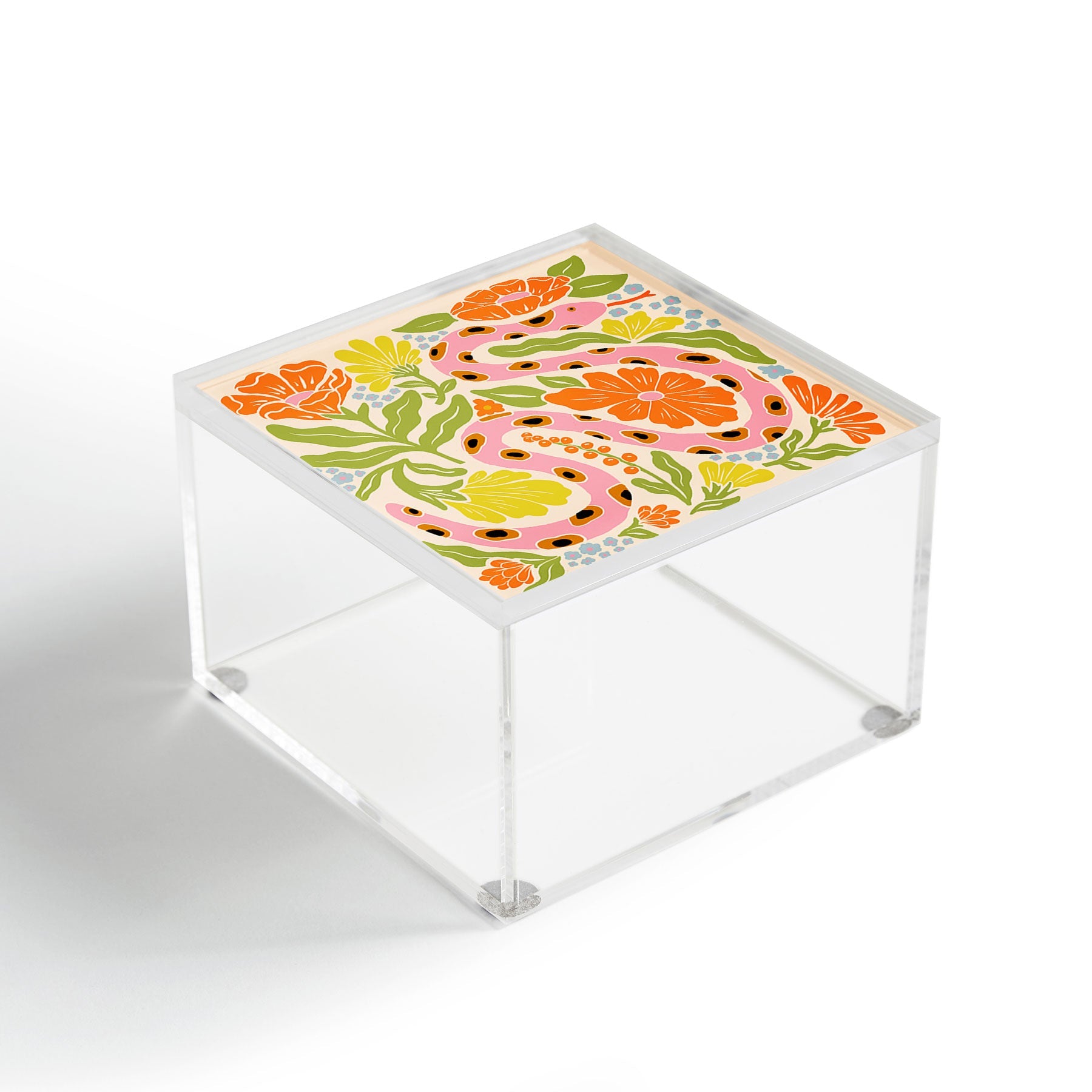 Jaclyn Caris Snake in the Garden Acrylic Box