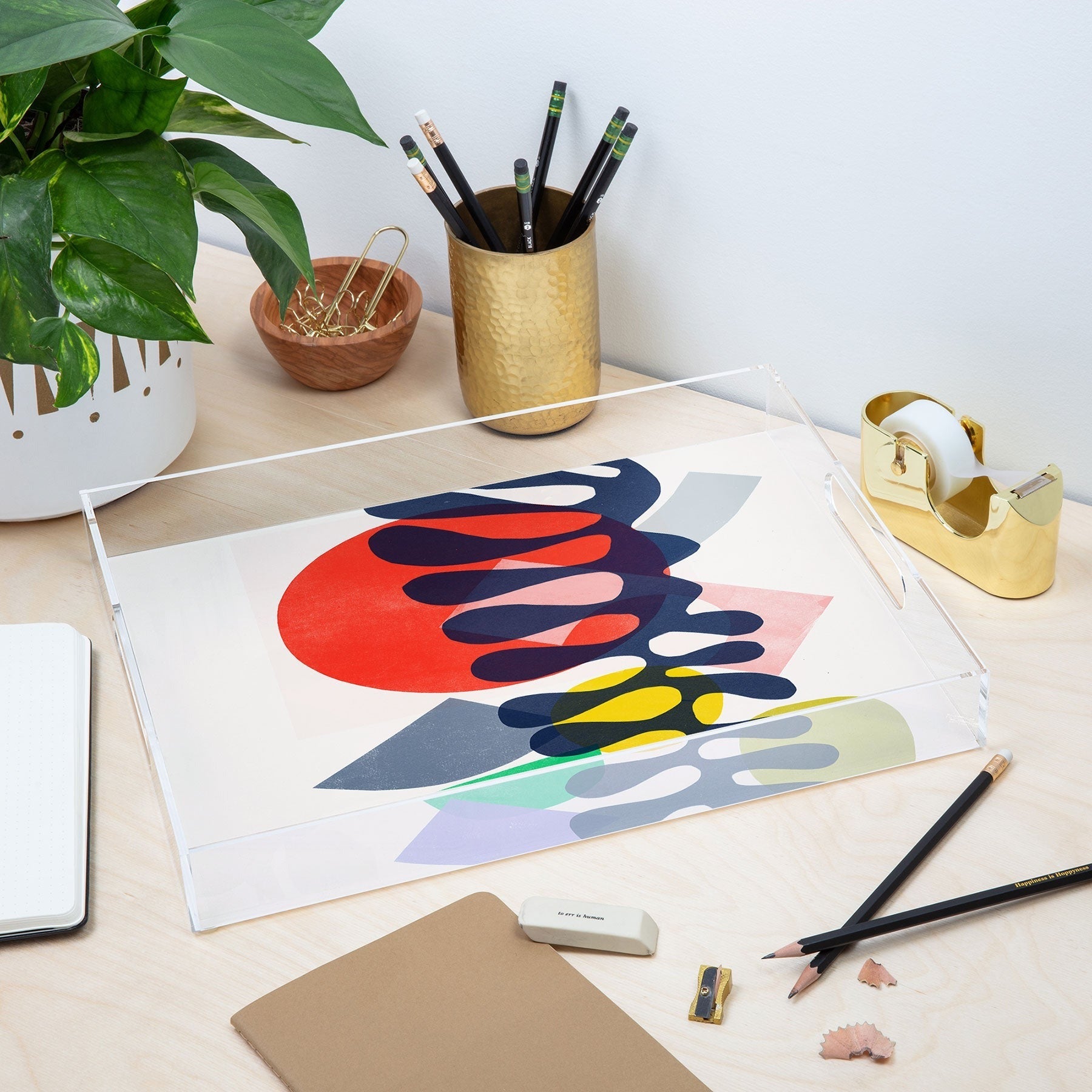 Garima Dhawan growing 1 Acrylic Tray