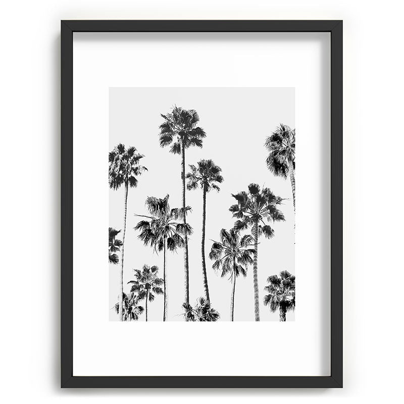 Gal Design Black And White Palms Recessed Framing Rectangle
