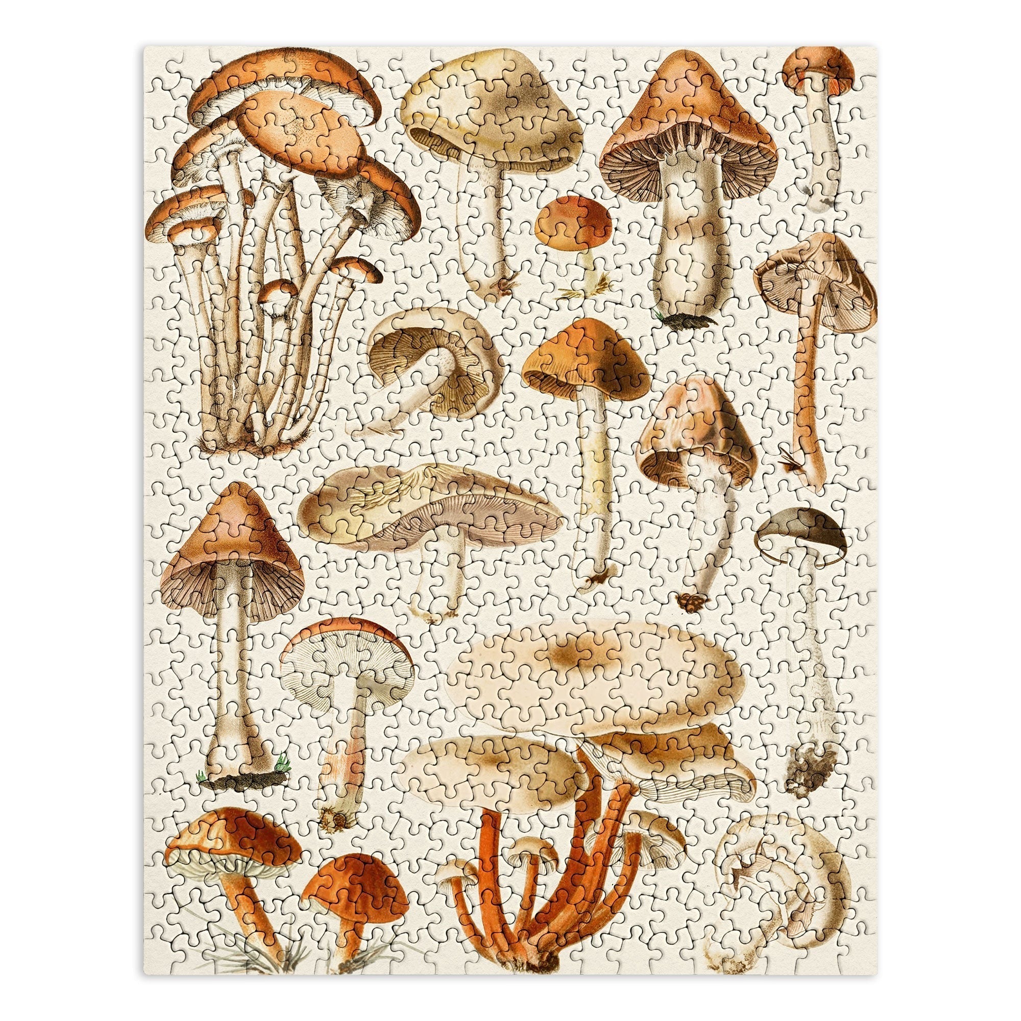 Gal Design Mushrooms Collection Puzzle