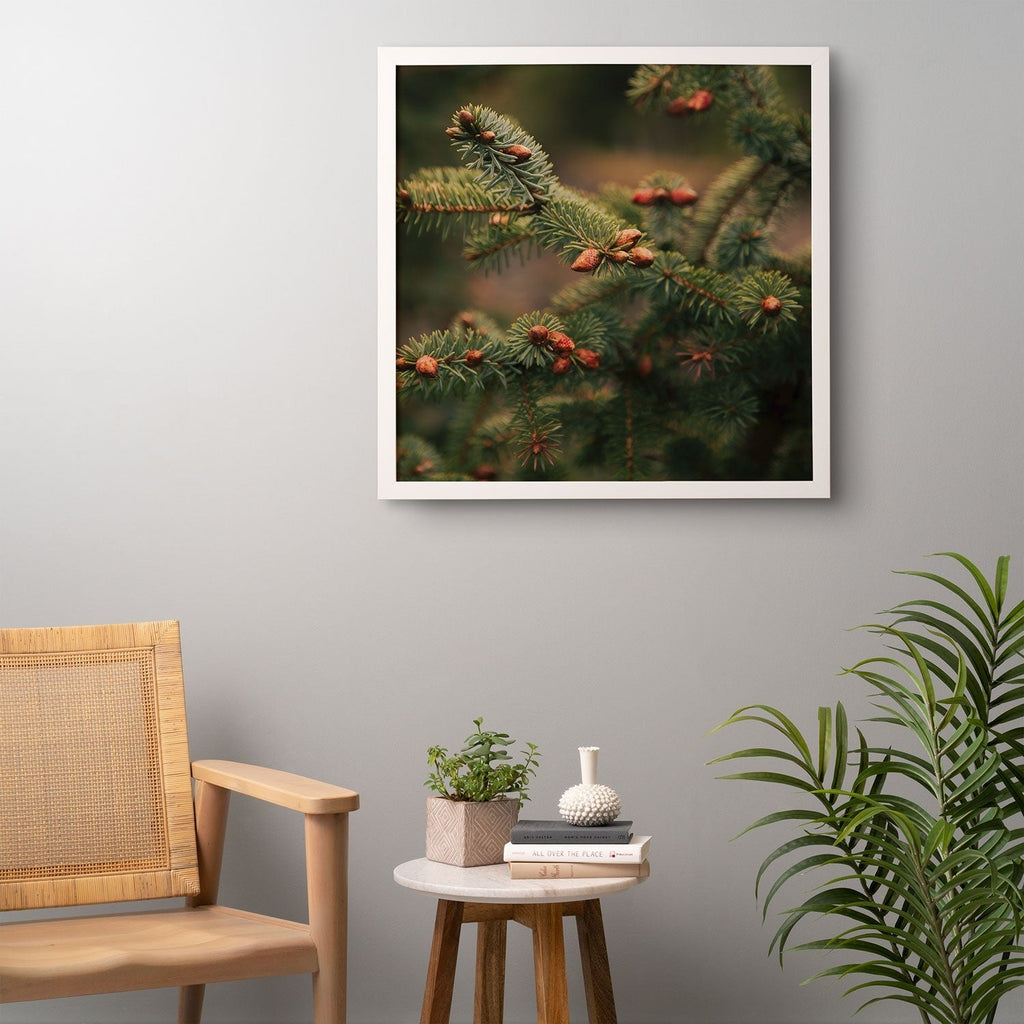 Hannah Kemp Spruce Tips Framed Wall Art