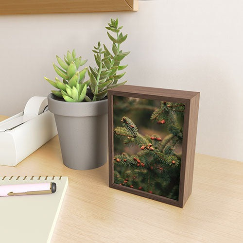 Hannah Kemp Spruce Tips Framed Mini Art Print