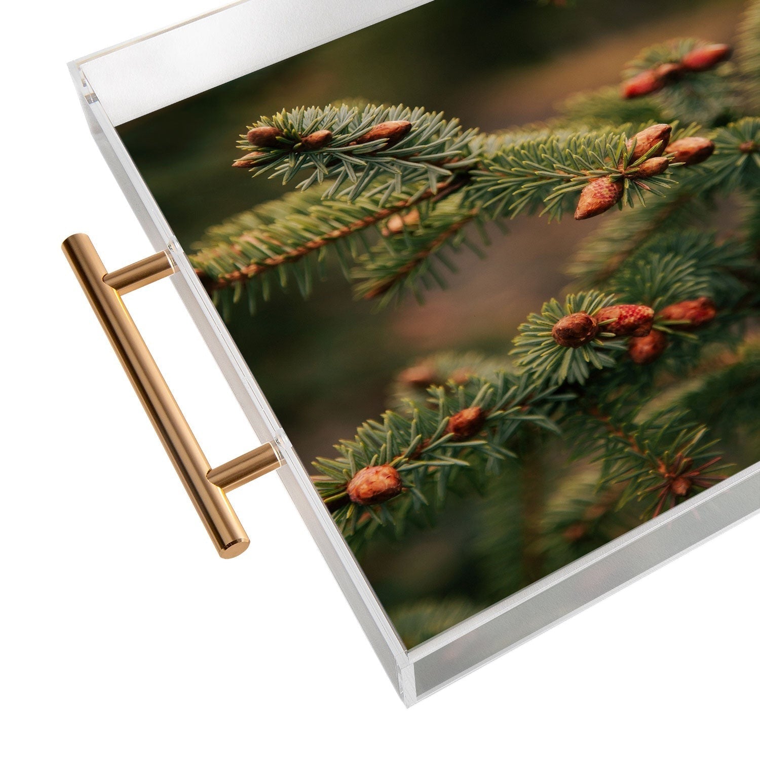 Hannah Kemp Spruce Tips Acrylic Tray