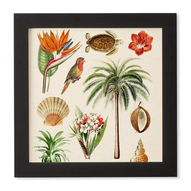Gal Design Hawaii Collection Framed Wall Art